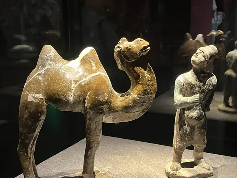 LT_唐三彩骆驼_025_人与骆驼对看纹样